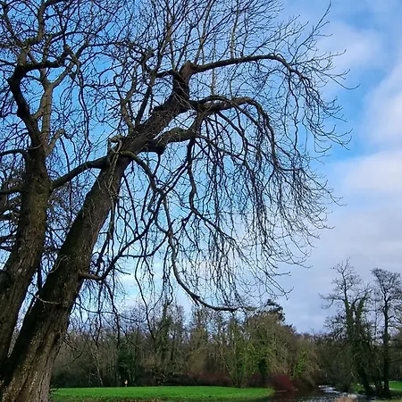 Superb 4 Bed / 3 Bath In 米切尔斯敦