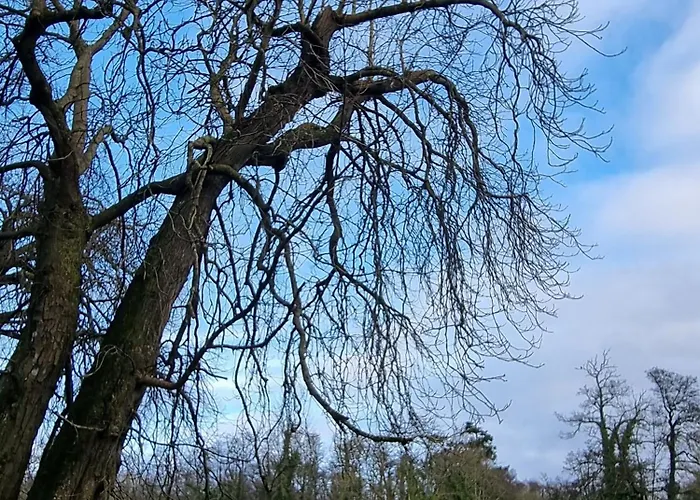 Superb 4 Bed / 3 Bath In 米切尔斯敦